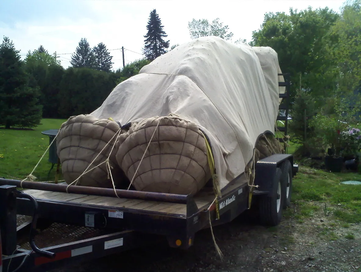 Large Tree on a hauling trailer